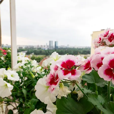 Ugi House - Center Bělehrad